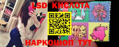 индика Камышлов