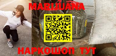 индика Камышлов