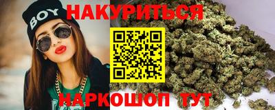 индика Камышлов
