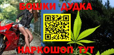 индика Камышлов