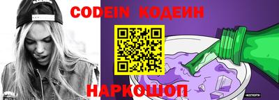 индика Камышлов