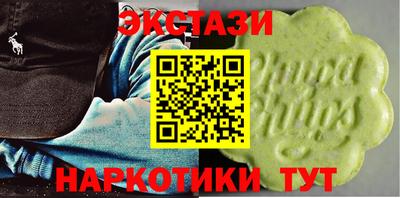 индика Камышлов
