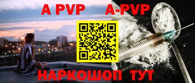 индика Камышлов