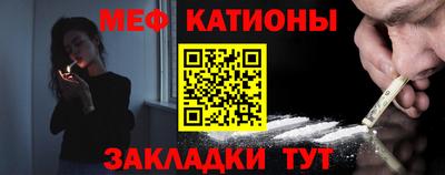 индика Камышлов