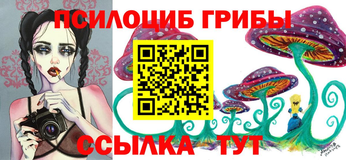 Корсаков  Галлюциногенные грибы Psilocybe  Галлюциногенные грибы Magic Shrooms  где найти   Вход с VPN 
